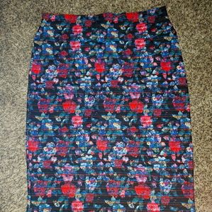 Plus size luluroe skirt